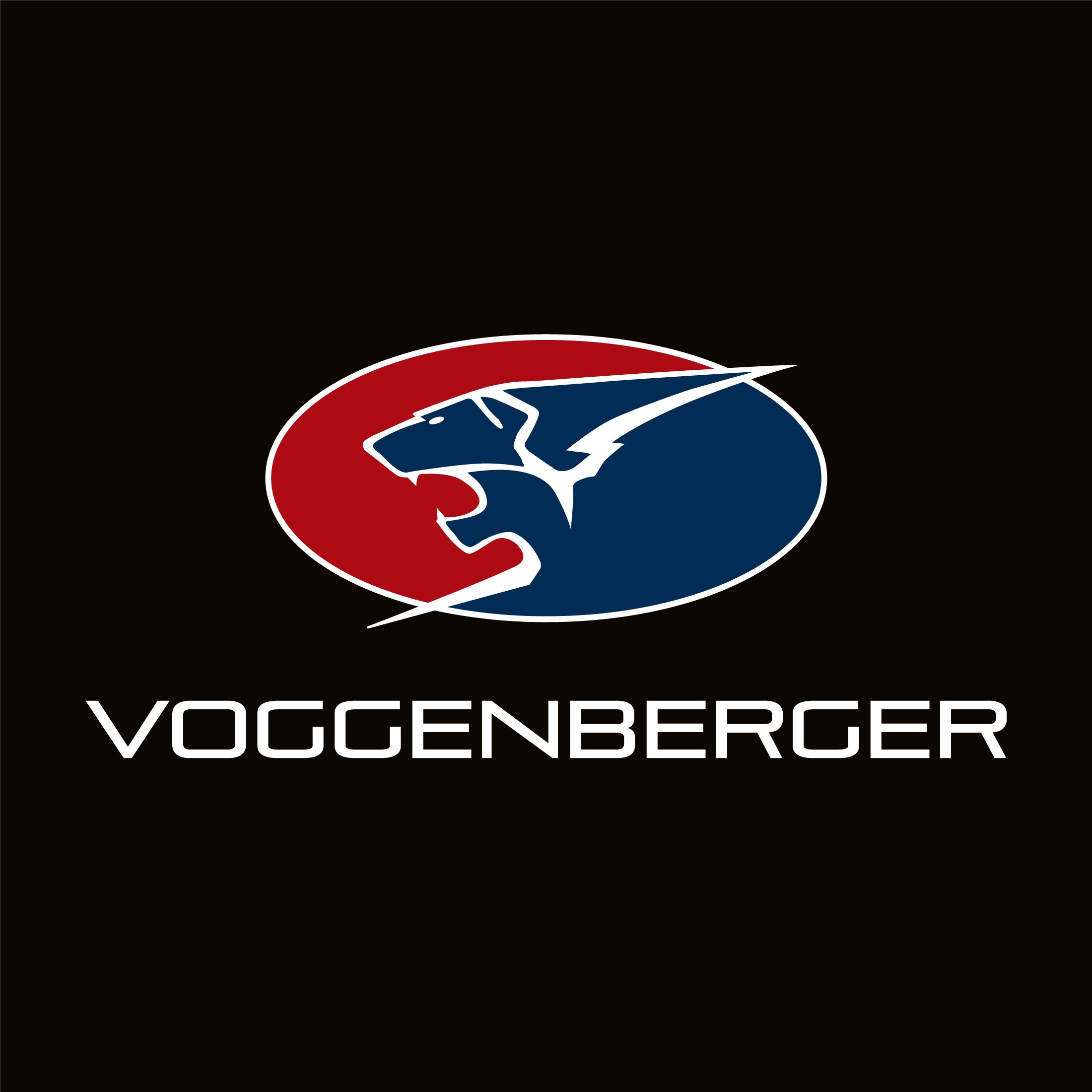 Autohaus Voggenberger